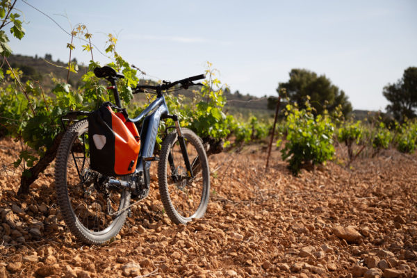 Wine tourism with e-bike